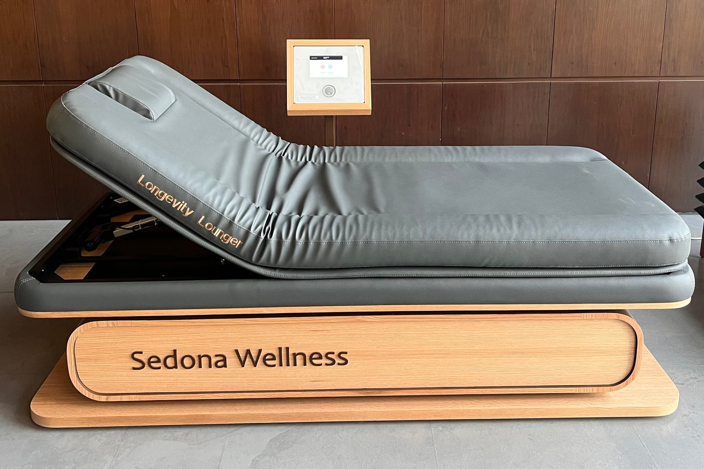 Longevity Lounger PEMF